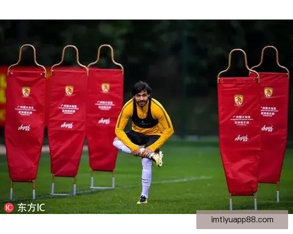 IM体育入口登录全新体验畅享，安全稳定，助您轻松开启精彩体育之旅